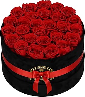 27 Forever Preserved Roses in a Box, Forever Gift for Women, Flowers in ...
