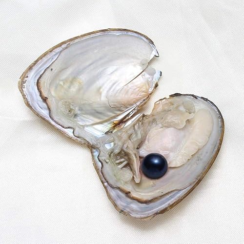 Miniatura 5 de XUDREZ Perlas de ostra natural, 50 unidadeslote, ostras monstruosas con perlas en el interior, a granel real en ostras, perlas ovaladas de agua