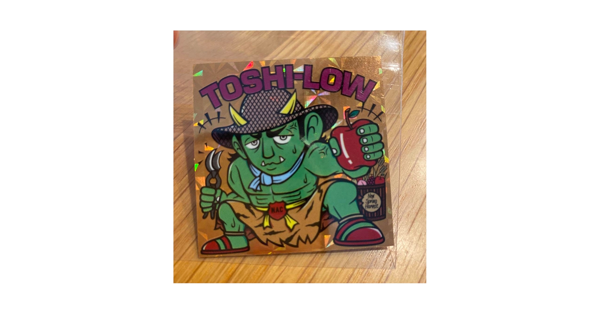 Amazon.co.jp: TOSHI-LOW ニューアコ鬼シール トシロウ