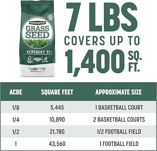 Miniatura 8 de Pennington Kentucky 31 - Semilla de hierba con forma de festuca alta, 7 libras