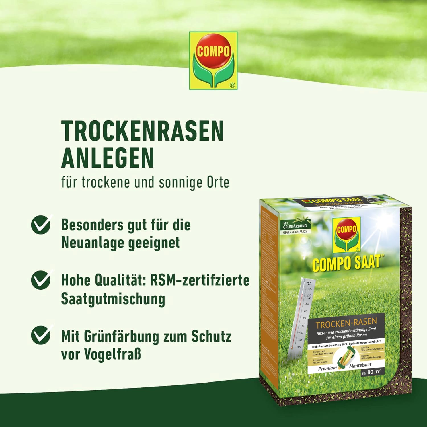 zuckermais saatgut kaufen Zuckermais 'Damaun'