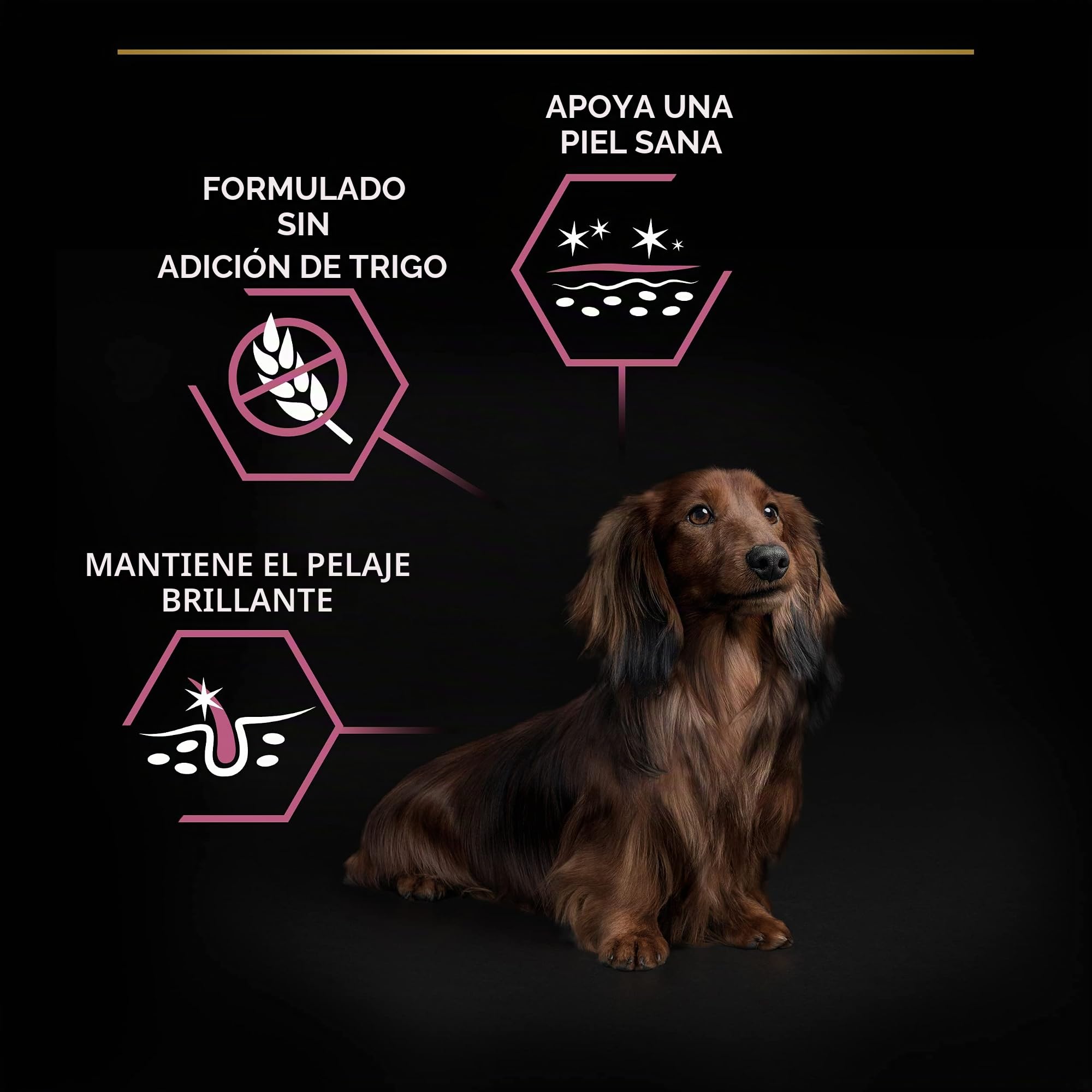 Purina Pro Plan Small Derma Pienso para Perro pequeño, Mini, Adulto, Piel y Pelaje con Salmón, 8 bolsas de 700g