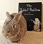 The Rabbit Problem: Amazon.co.uk: Emily Gravett, Emily Gravett ...