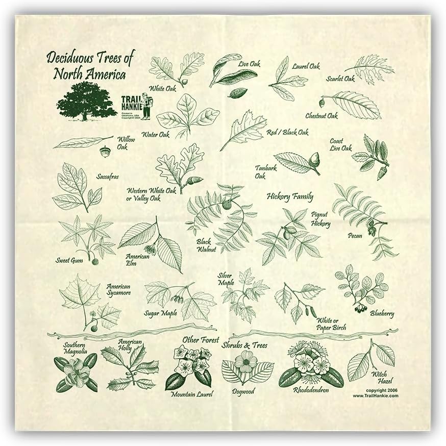 Deciduous Trees For Hiking, Fishing, Boy Scouts, Camping, Outdoor Recreation - Neckwear/Face Mask/Handkerchief - Made in the USA 100% Cotton, Machine Washable, Natural Bandana