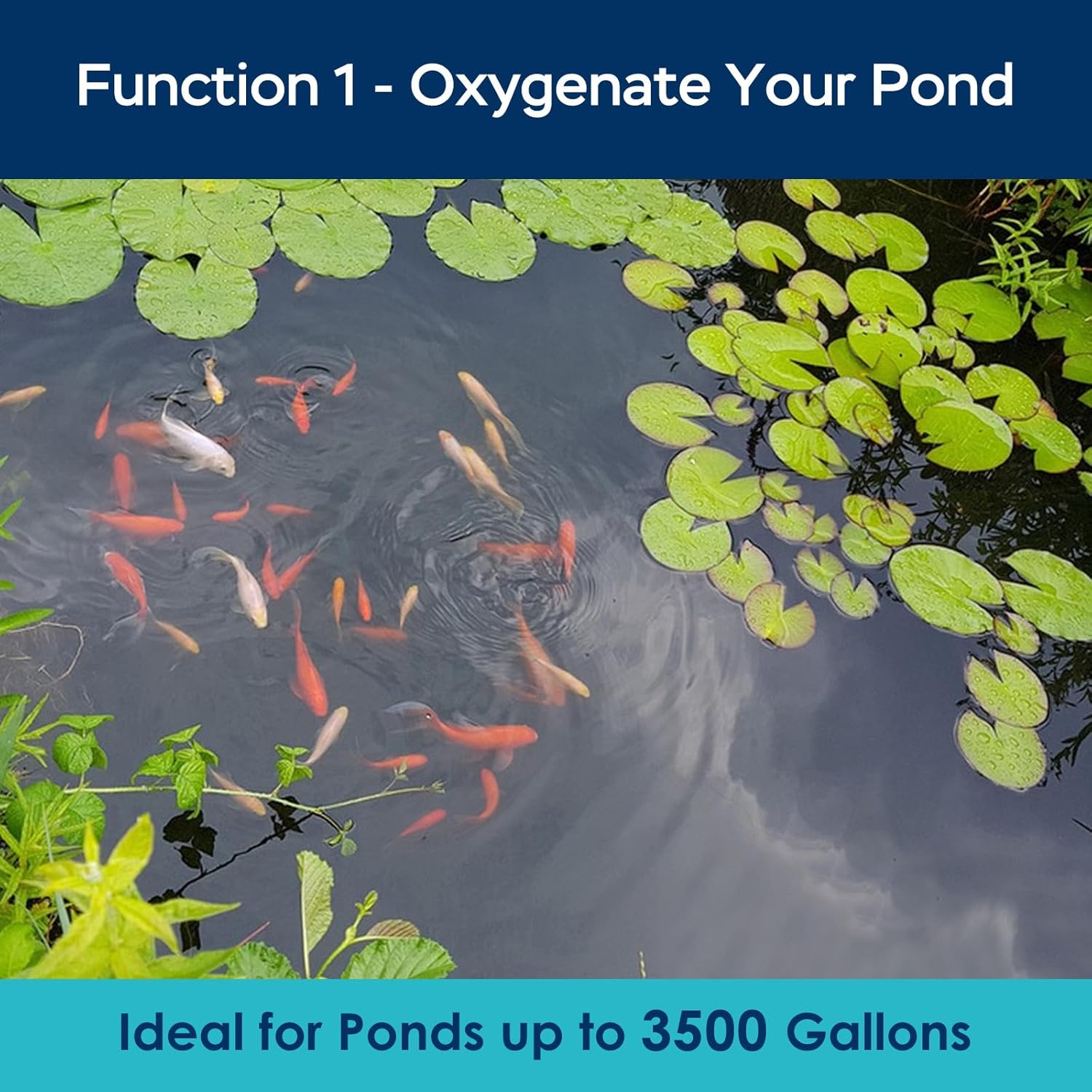 Pond Aerators for Outdoor Koi Ponds, Air Pump for Pond up to 3500 Gallons, All-in-One Flow Adjustable Pond Aeration Kit Pond Deicer with Double Outlet Airline Tubing Air Stones Check Valves