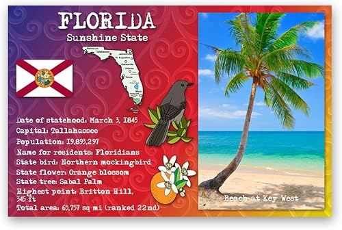 FLORIDA STATE HECHOS Juego de 20 postales idénticas. Tarjetas postales con hechos de FL y símbolos estatales. Fabricado en Estados Unidos.
