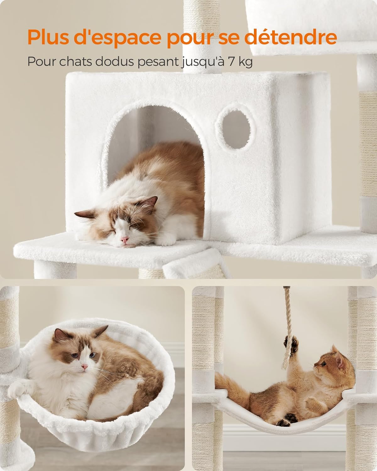 A cat sleeping inside a cozy cat cave, another cat in a soft basket, and a third cat playing in a hammock.