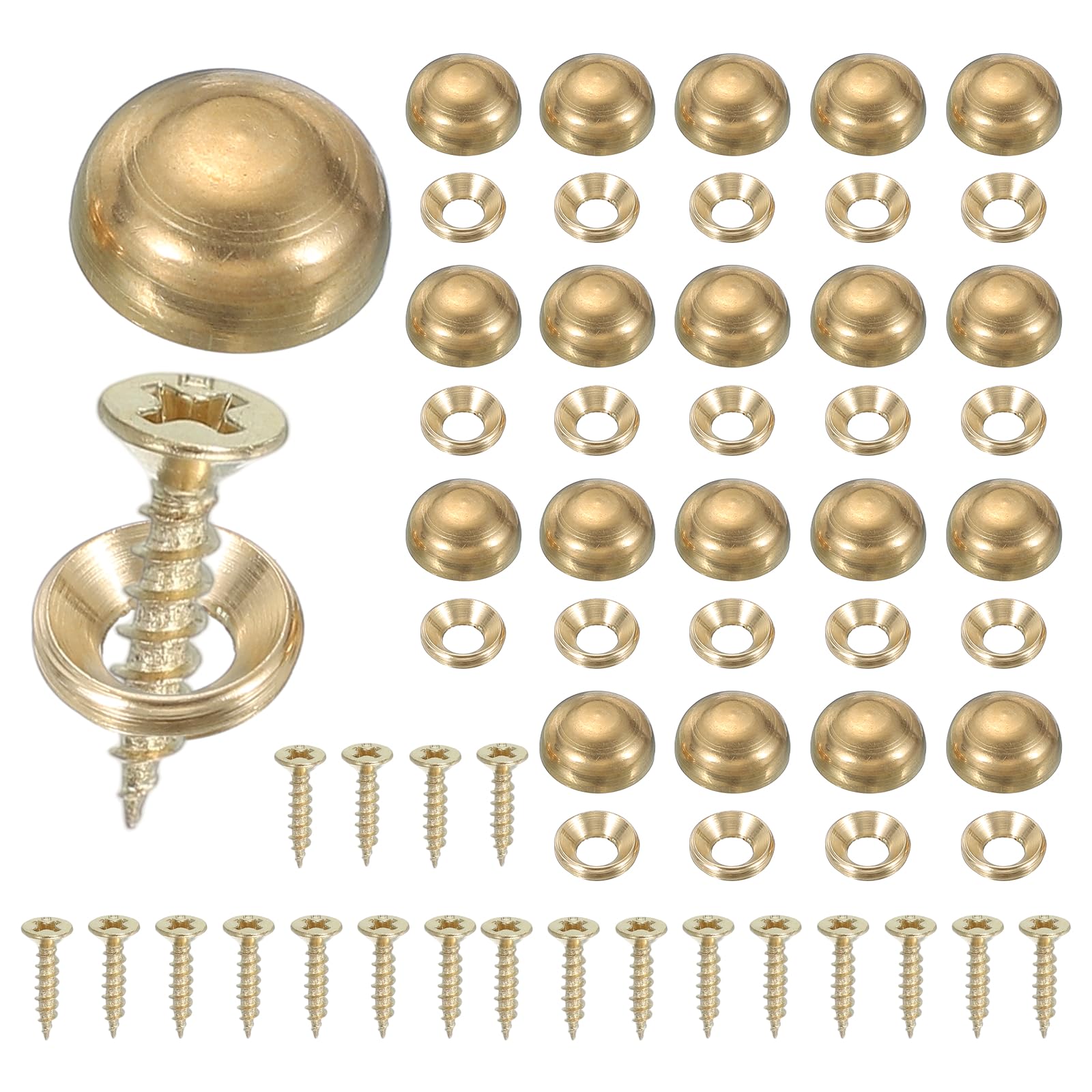 YELARXI Brass Decorative Screws with Caps, Mirror Screw Self Tapping Screws Decorative Cover