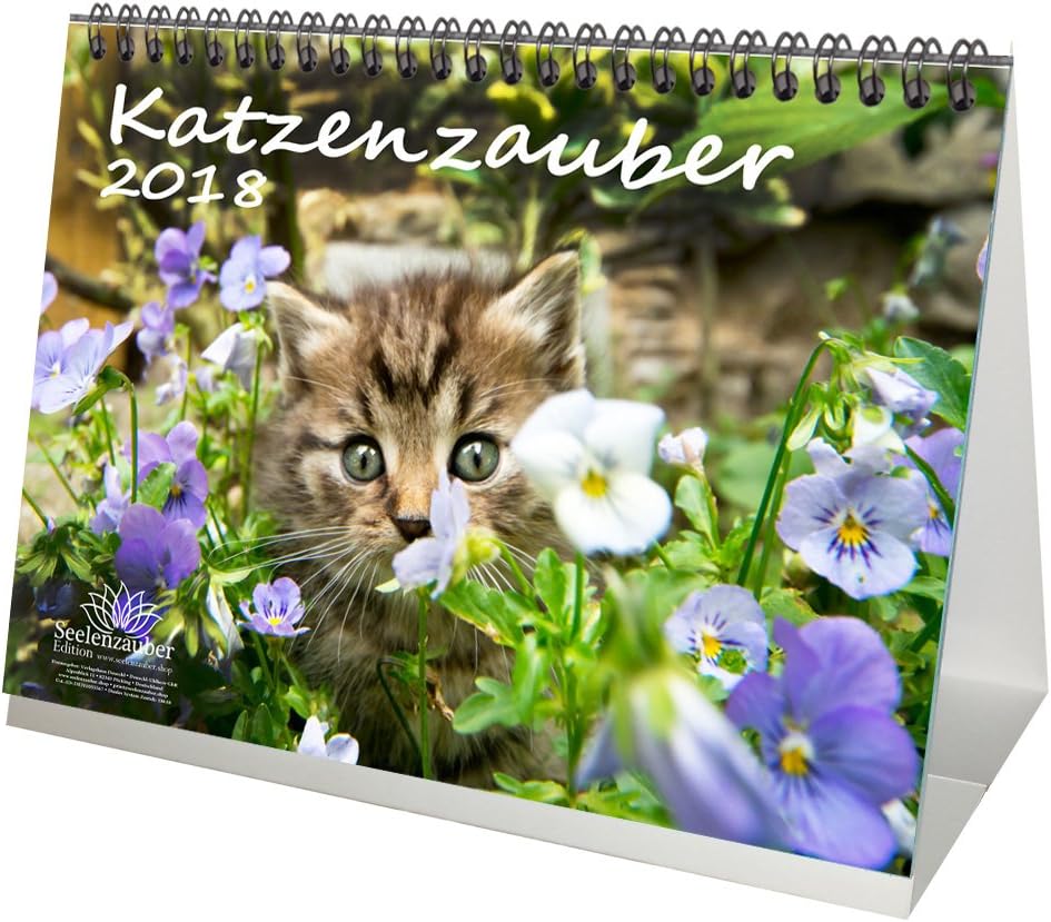 Premium Desktop Calendar/Calendar 2018 – DIN A5 – Cat Magic Cat; Gift Set with 1 Greeting Card – Christmas Card Edition and Soul Magic