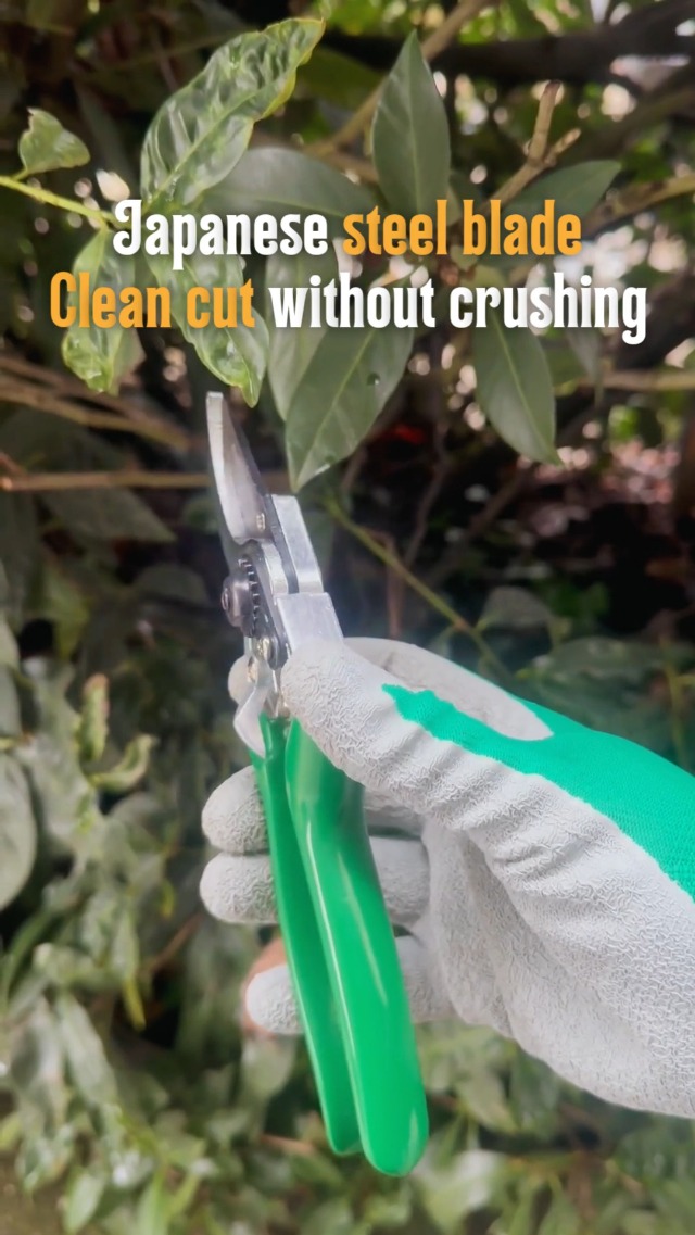 Forbici Multiuso 185mm CEERAYZ Con Lama In Acciaio Inox Giapponese - Taglio Di Precisione Per Potatura, Fai-Da-Te, Ufficio - Con Fodero Protettivo E Supporto Magnetico (Blu/Verde)