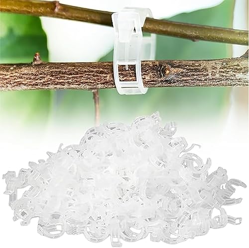 Secured Plastic Plant Clip, 2026 Plant Support Clips Garden Climbing Vines Fixing Clip, Upgraded Plant Support Clips Reusable Garden Clips Trellis