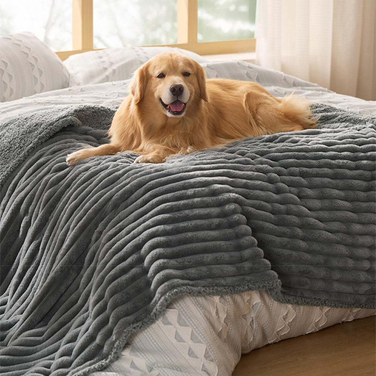 Manta grande lavable e impermeable para perros pequeños y medianos, gatos, manta de felpa cálida y suave para proteger la cama, el sofá y el coche (gris, 165 x 200 cm)