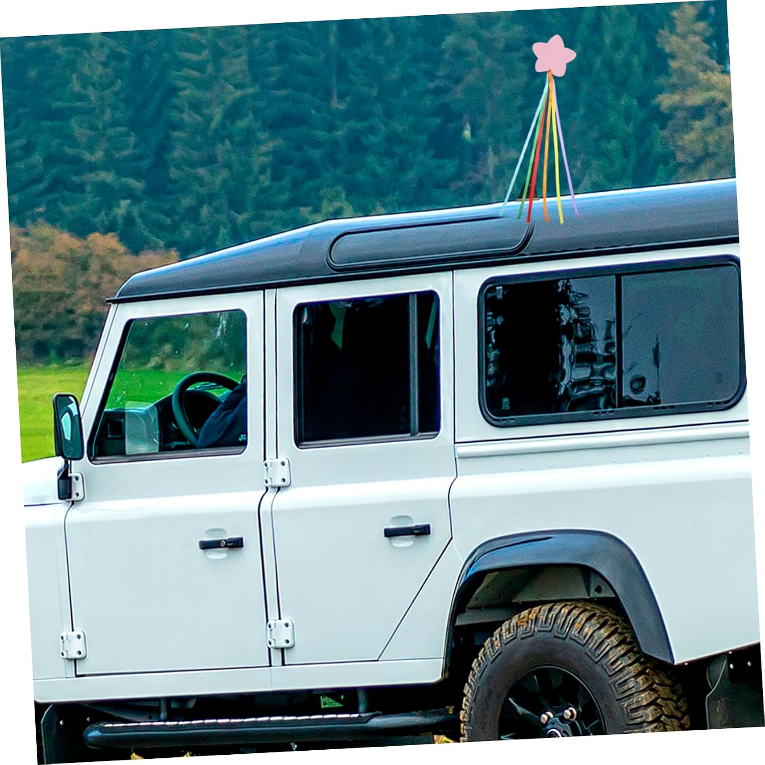 MAGICLULU 2pcs Car Antenna Toppers Unique Roof Ornaments for Automotive Antenna Decoration Weatherproof and Easy Install
