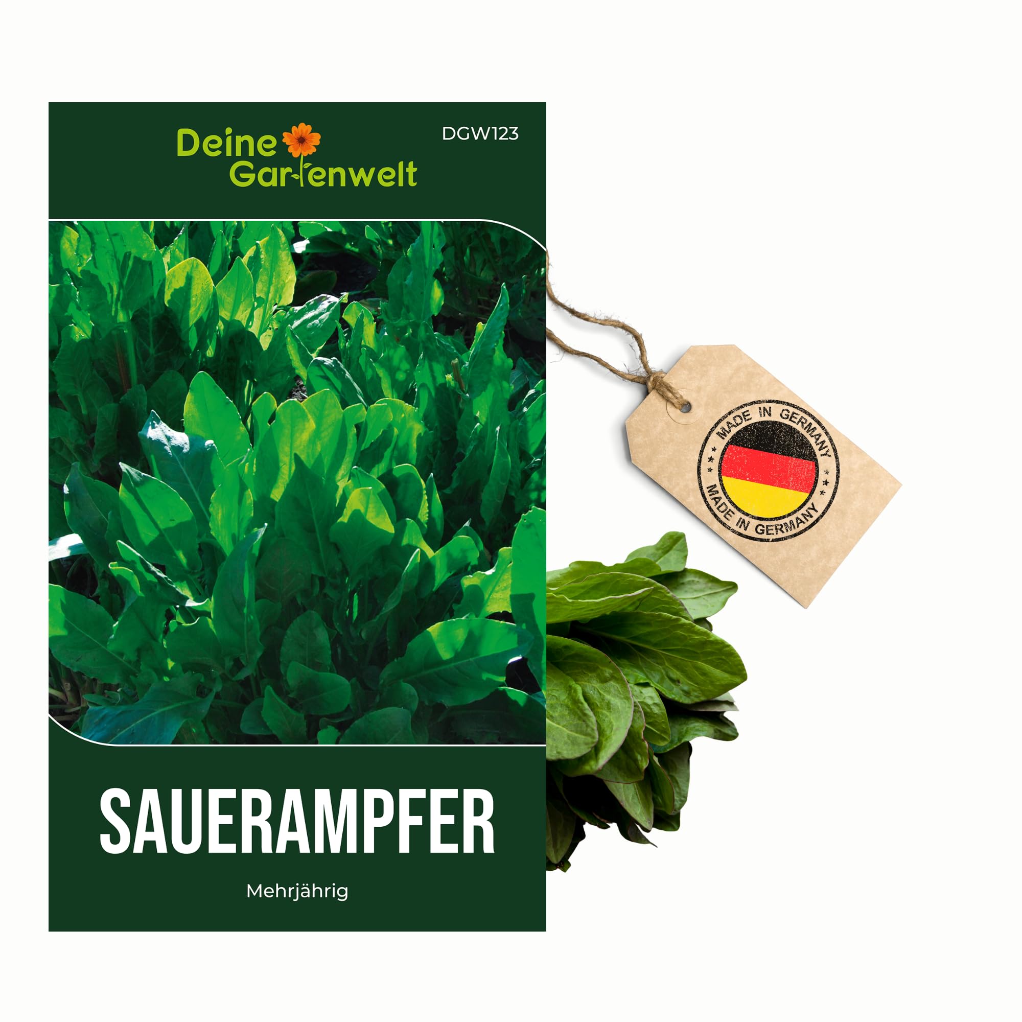 Sauerampfer Mehrjhrig Samen - Rumex acetosa - Sauerampfersamen -  Gemsesamen - Saatgut fr 200 Pflanzen  5er Pack : Amazon.de: Garten