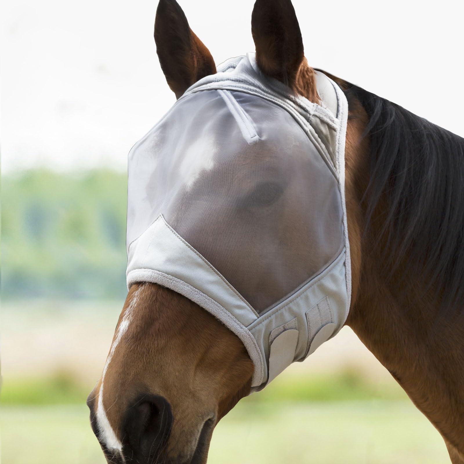 Harrison Howard CareMaster: Questionable Velcro β Worth the Investment?