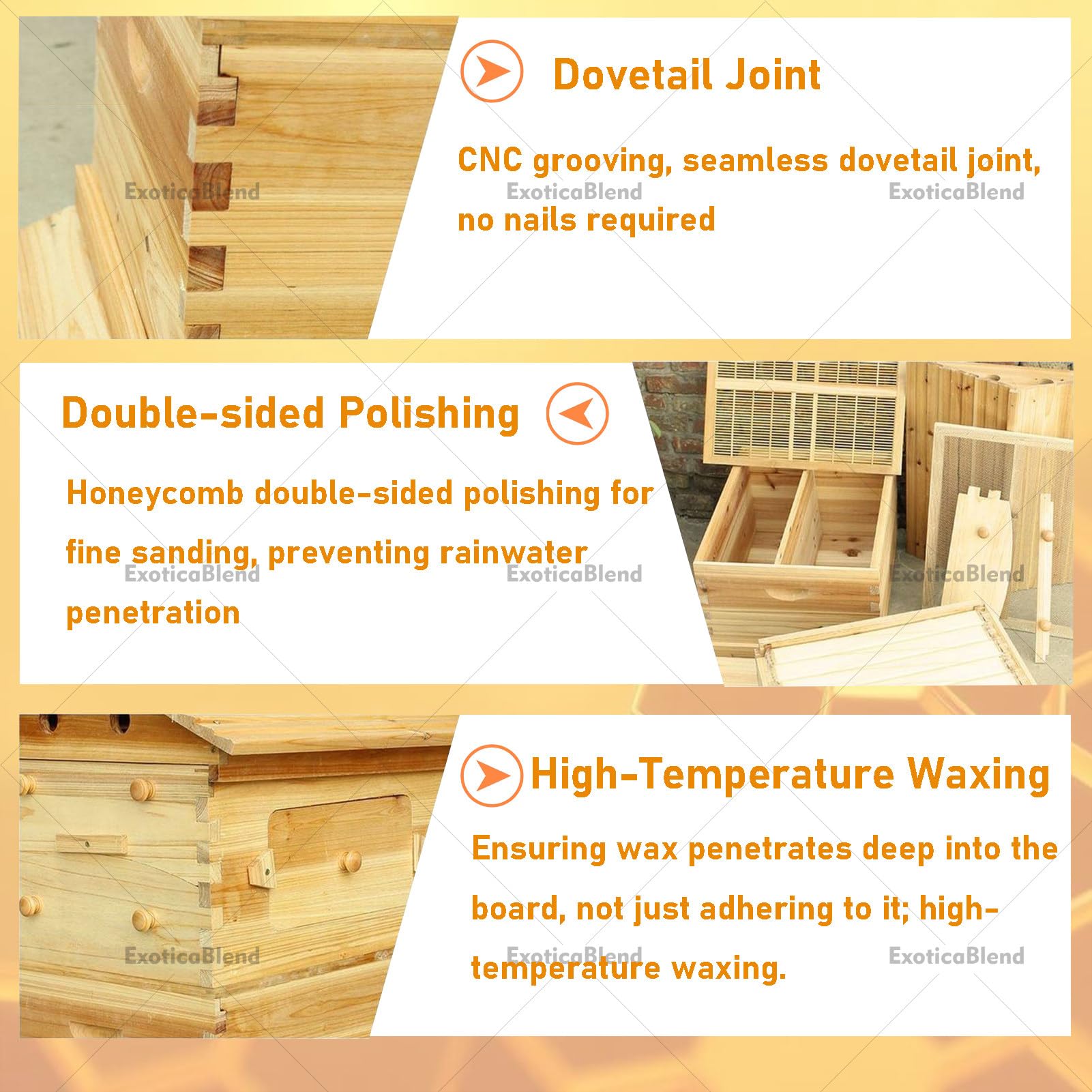 Kit Completo per Apicoltura per Principianti, Arnia in Legno con Finestra di Osservazione e Rubinetto per Il Miele, Include Casetta per Api Carpentiere per Giardini Amiche