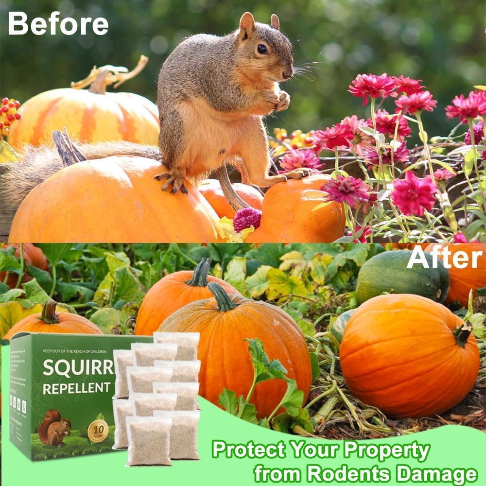 Squirrel Repellent, Chipmunk Repellent Outdoor, 10 Pack Squirrel Deterrent for Attic, Chipmunk Deterrent for Garden, Keep Squirrels Away for Car, Indoor Repellents Squirrel Pouches for Potted Plant - Image 4