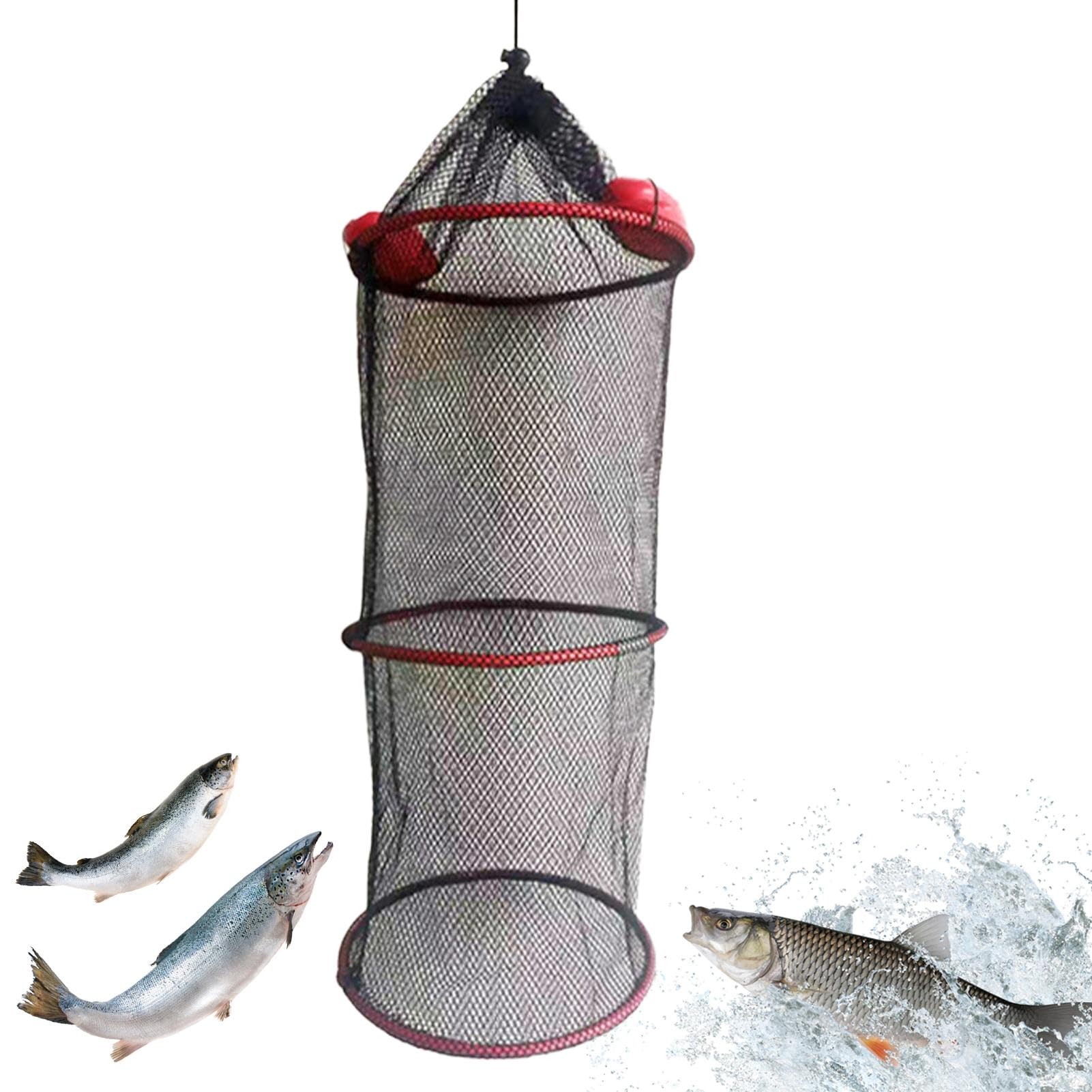 2pcs Cesta De Pescado Flotante Plegable Cesta De Pesca Cesta | Frete grátis