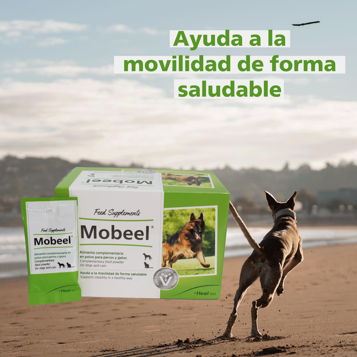Mobeel 50 sobres 4 gr