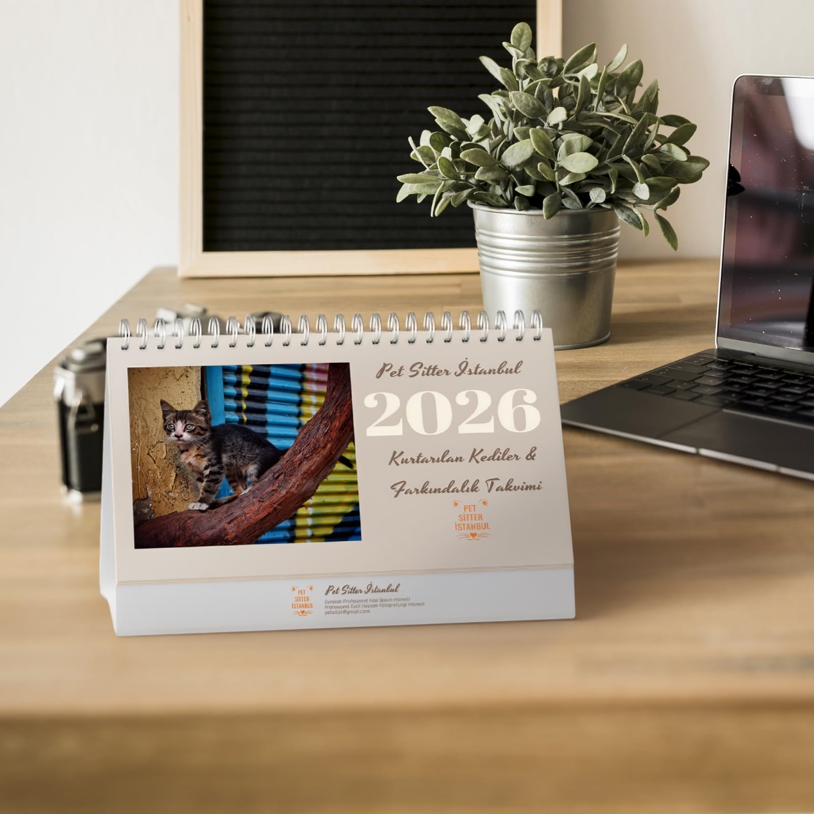 Pet Sitter Istanbul 2026 Takvim, Kurtarılan Kediler ve Farkındalık Günleri, Evcil Hayvan Tatilleri Temalı Masa Takvimi