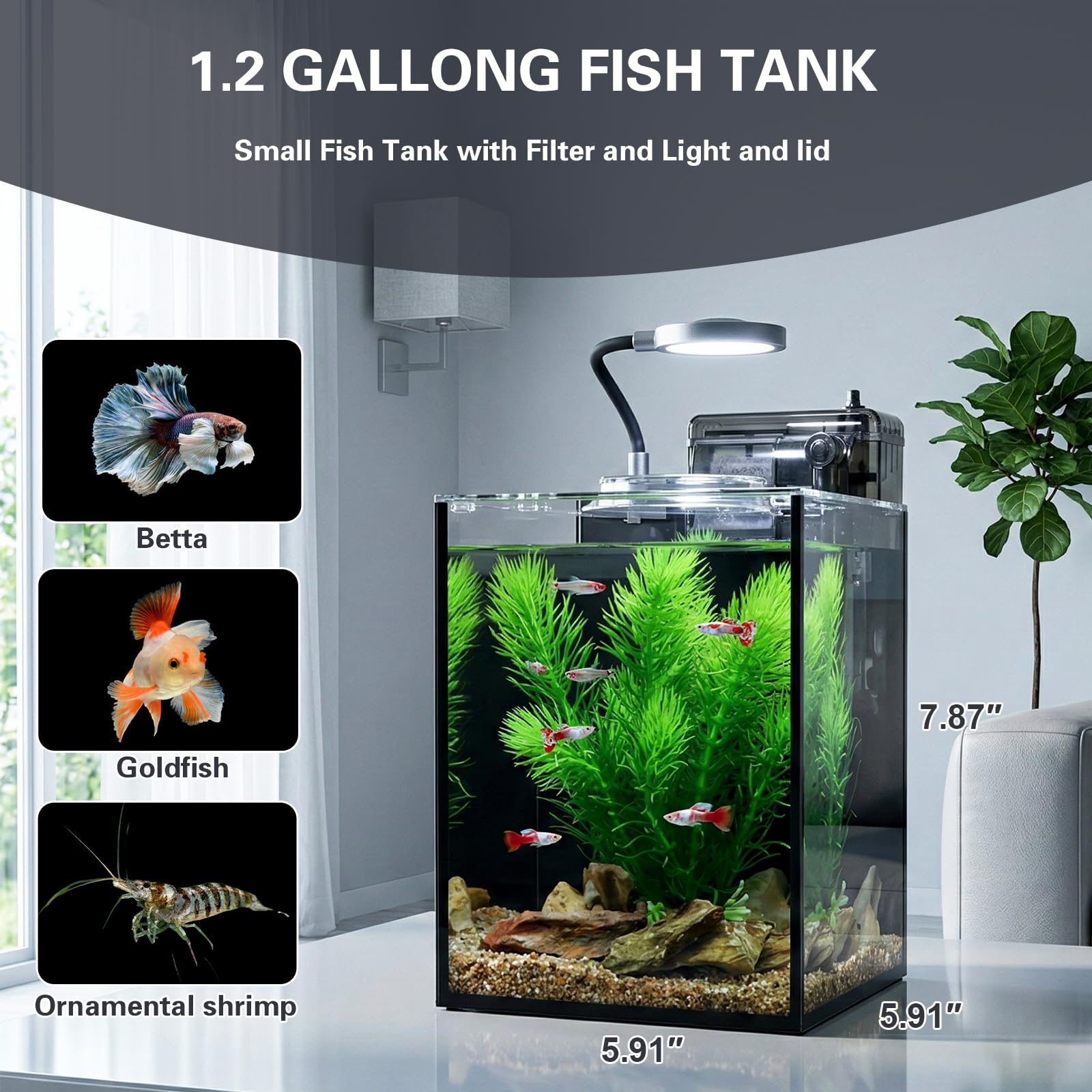 Kleines Desktop-Aquarium (schwarz, 4,5 l (komplettes Set))
