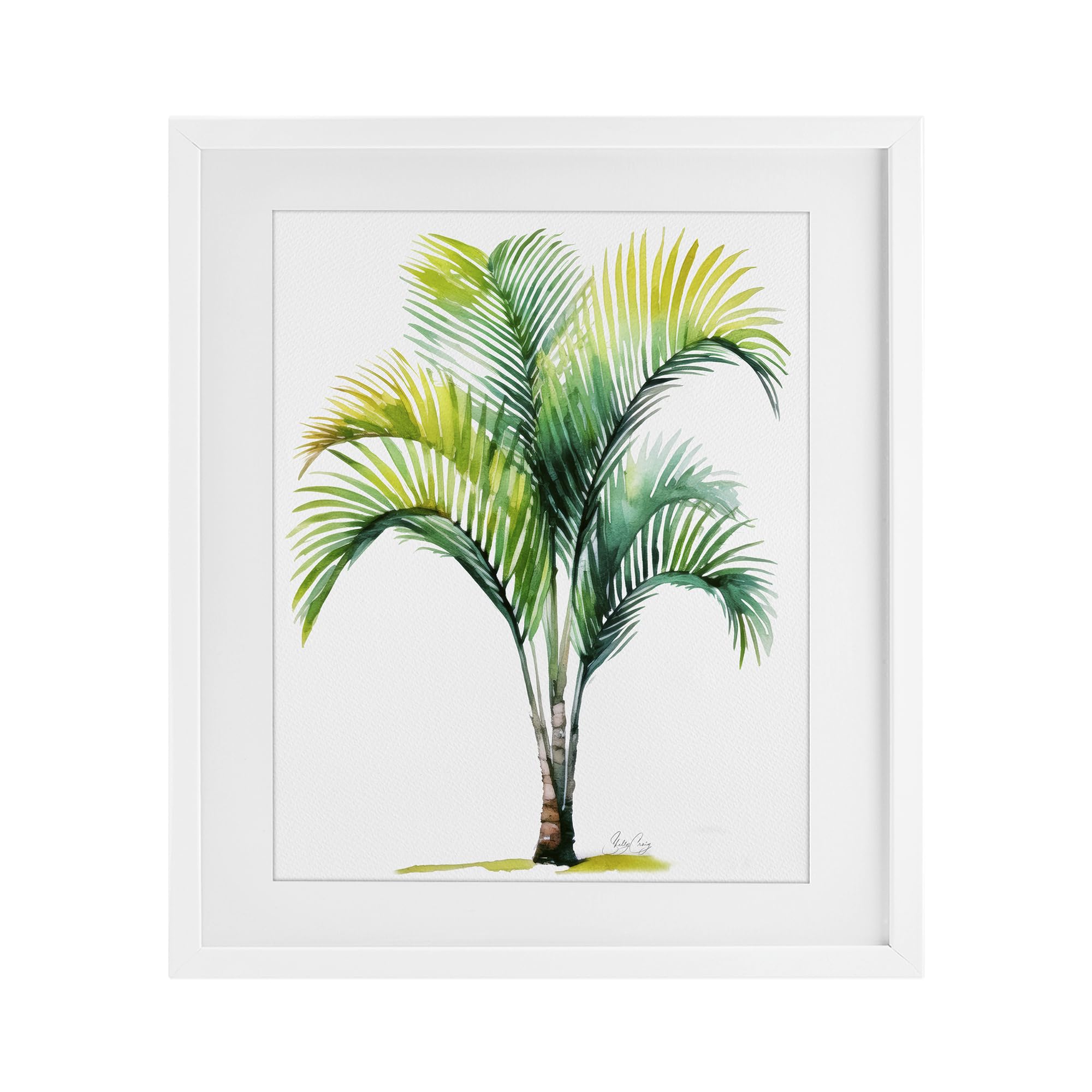 Stupell Industries Coastal Canopy Palm Tree 'Coastal Canopy Palm Tree', Framed Print Under Glass, White, 17 X 21 Inches, Easy To Hang And Sturdy, Made In Usa, By Shelly Craig