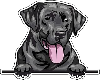 WickedGoodz Smiling Black Labrador Retriever Decal - Dog Breed Bumper Sticker - for Laptops Tumblers Windows Cars Trucks Walls