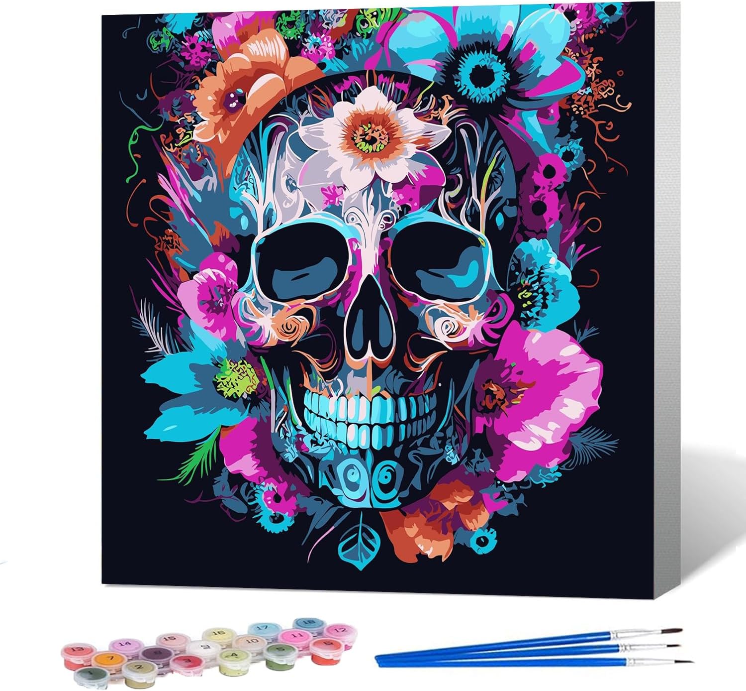 igoodom Paint by Numbers Adult Kit Adult Paint by Numbers