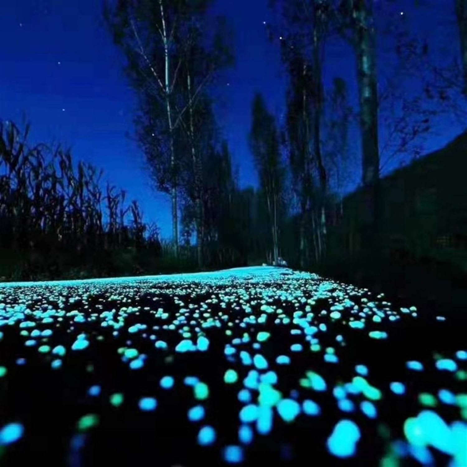 Glowing Stone Blue Glowing Stones, Pebbles Glowing in The Dark, Indoor and Outdoor Park Garden Sidewalk Aquarium Decoration (Size : 400PCS)