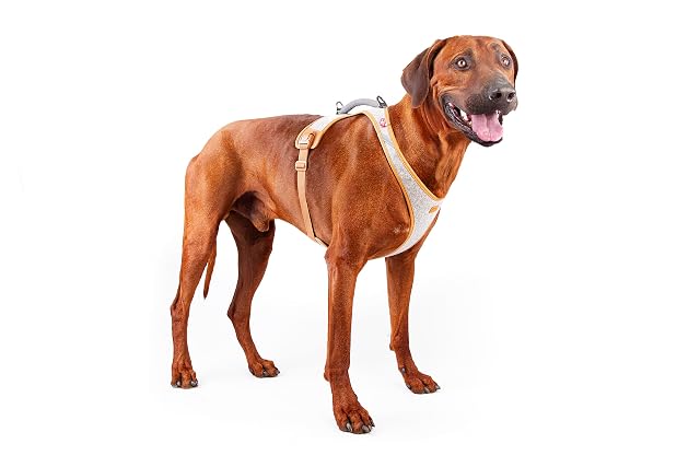 Foto 2 de 8 de Alpine Belka Harness Gray 3XL