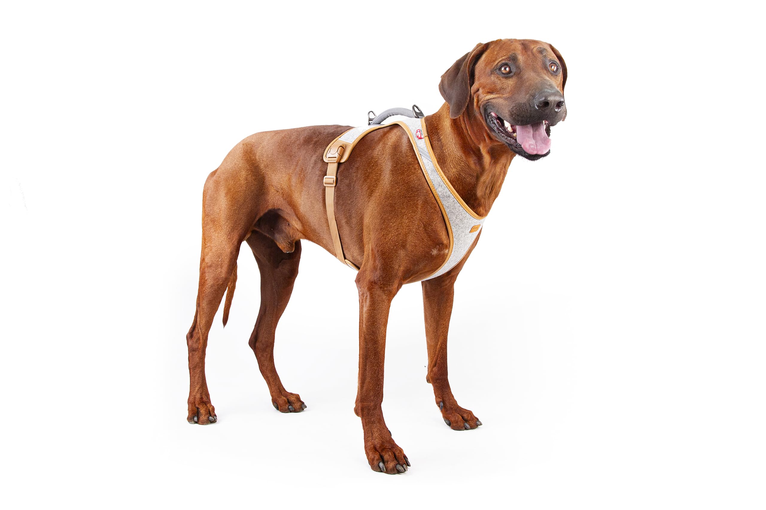 Alpine Belka Harness Gray 3XL