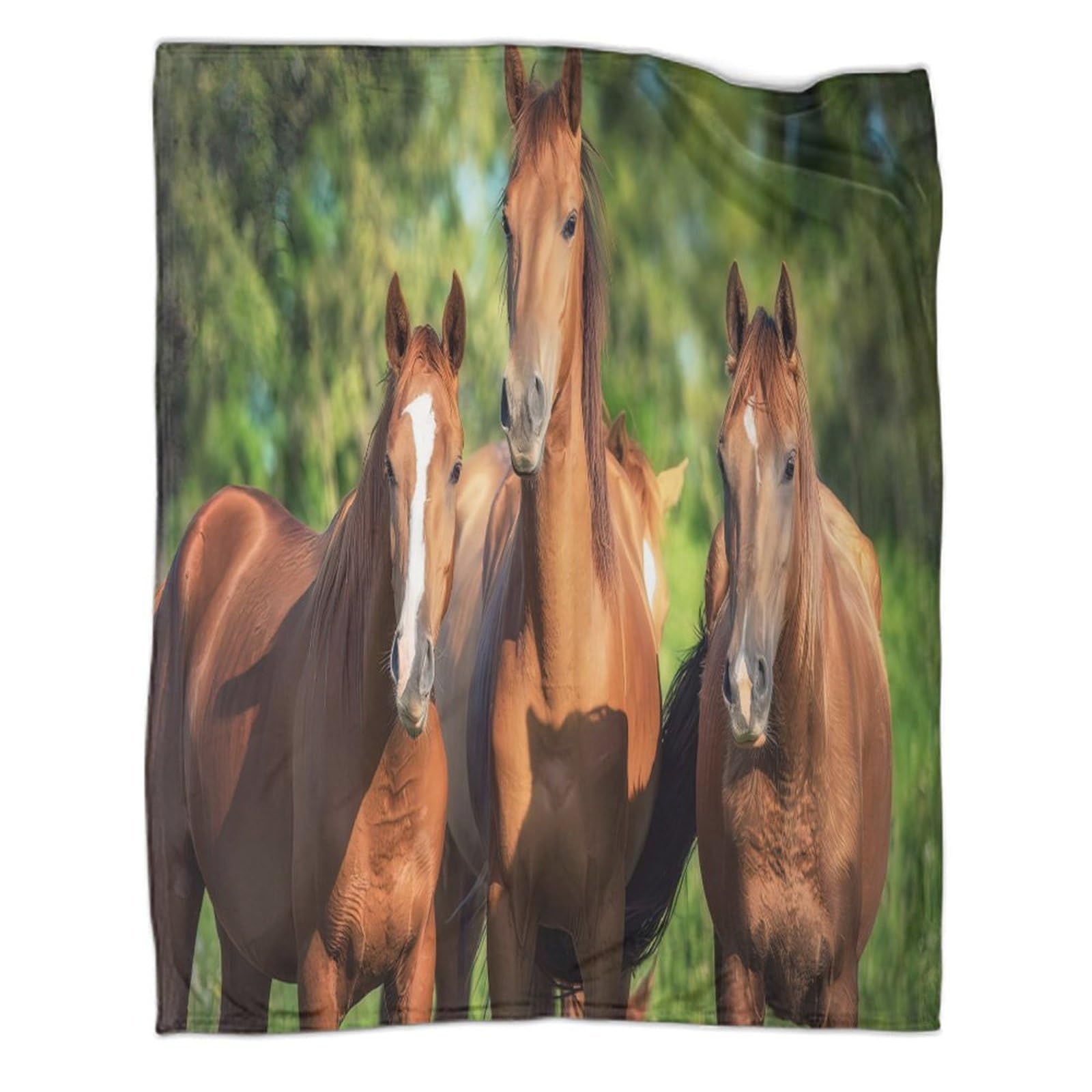 stampa 3D in field coperta da viaggio microfibra biancheria da letto compatta coperta da viaggio morbida per giovani in vacanza Natural wildlife 70×80inch(180x200cm)