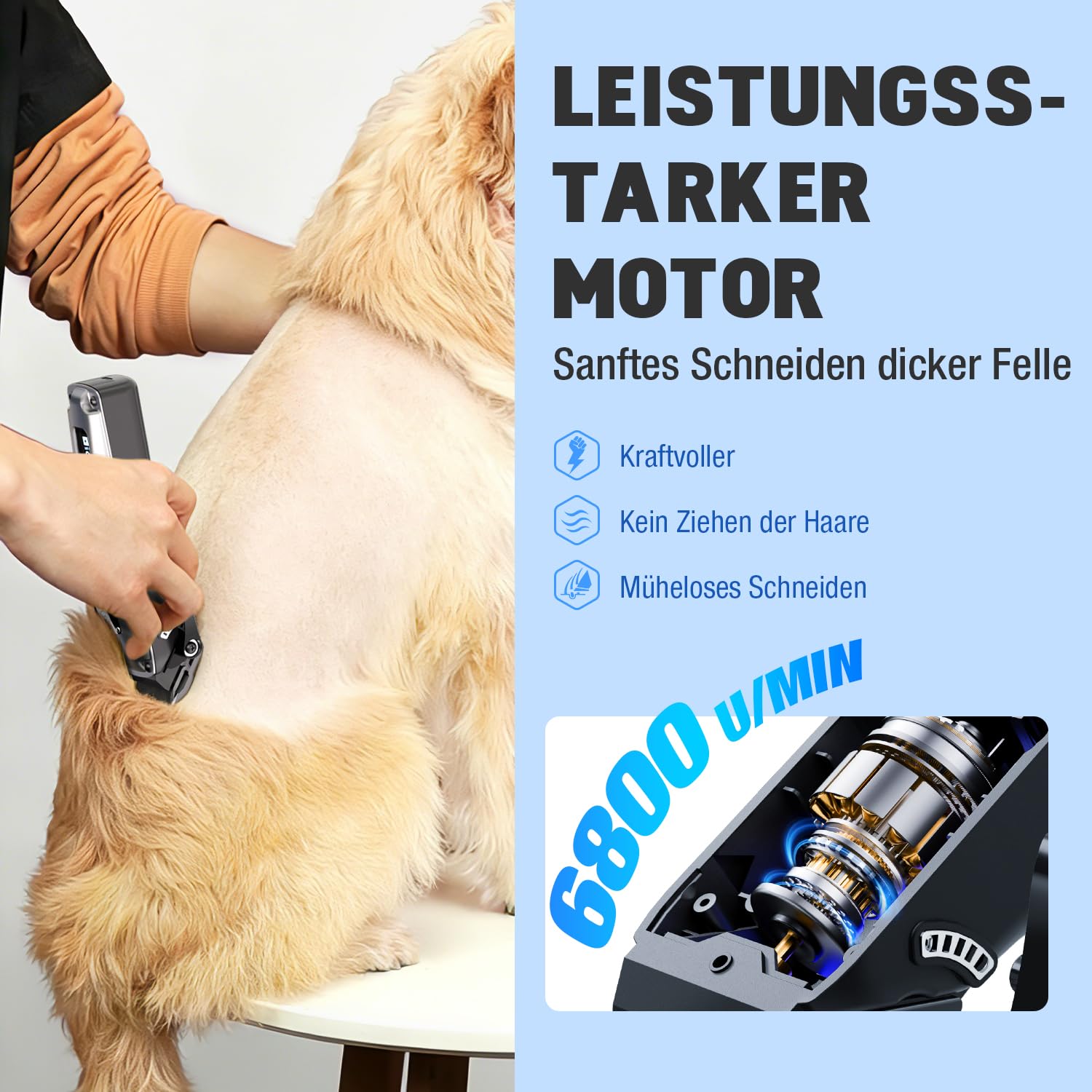 Hundeschermaschine mit Metall-Aufsteckkämme und Abnehmbare Ersatzklinge,Schermaschine Hund Hunderasierer Haarschneidemaschine Profi für Dickes/Lockiges/Feines/Langes/Gewelltes Haar