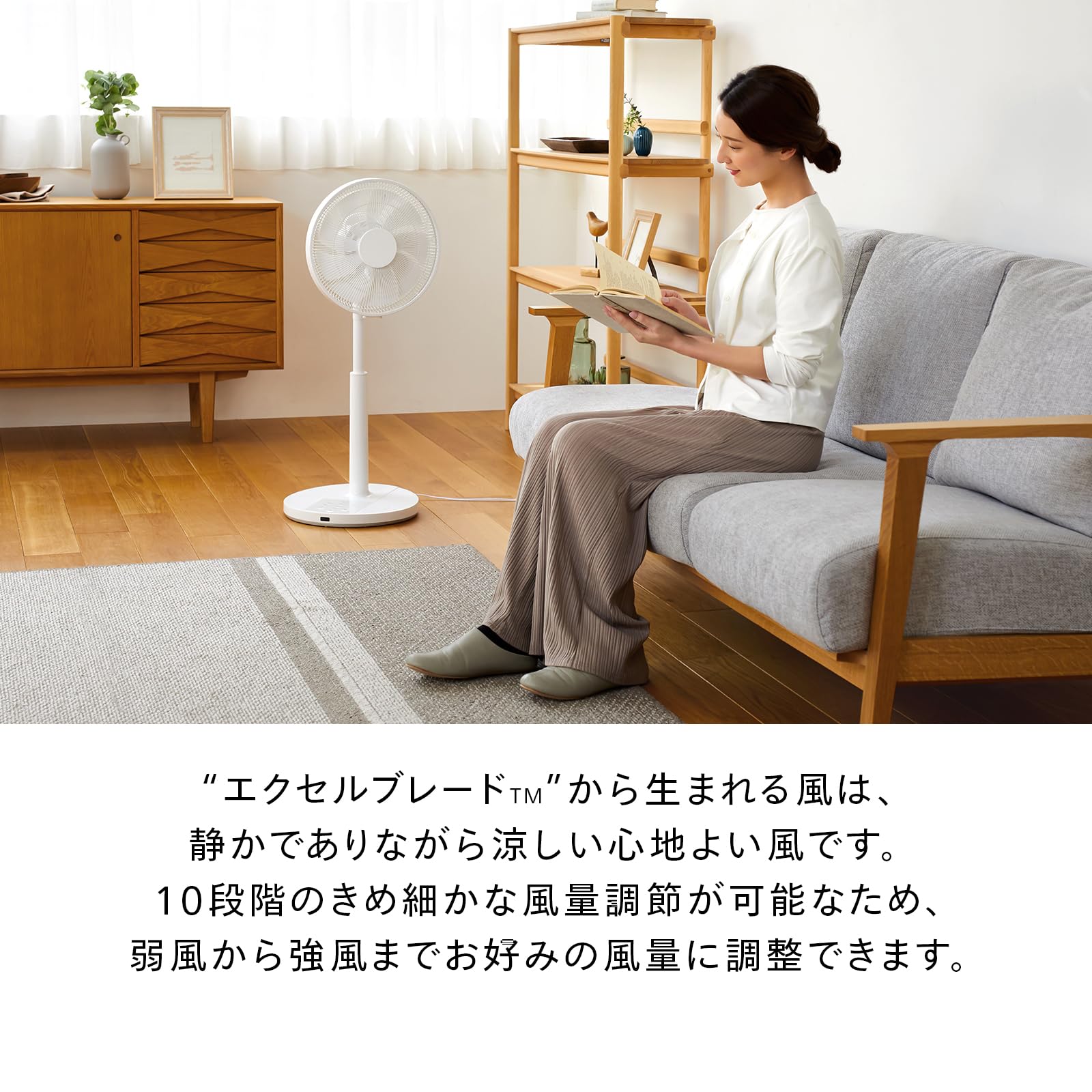 Amazon | TWINBIRD(ツインバード) 燕三条 扇風機 DCモーター 左右首 