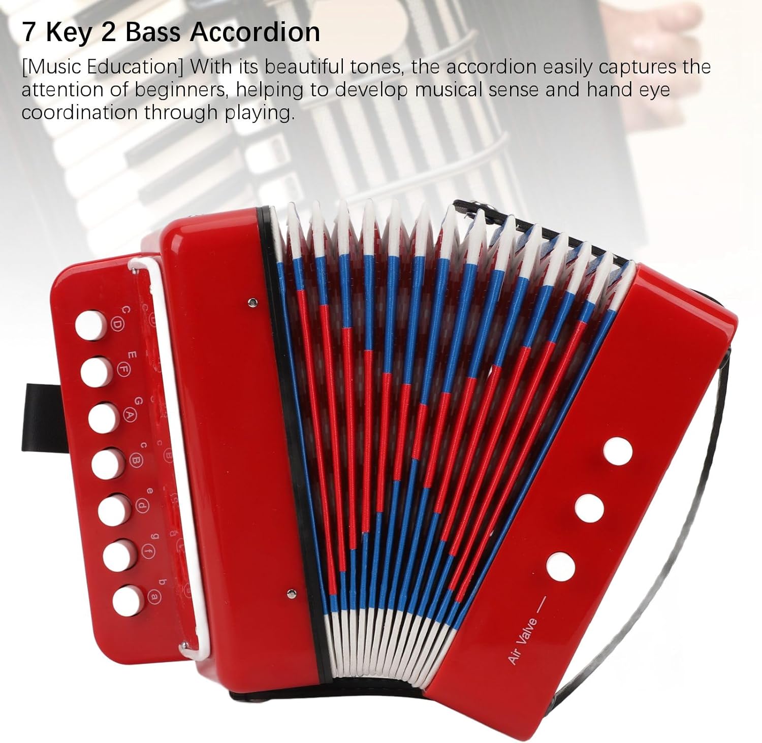 lyrlody Kids Accordion 7 Key 2 Bass Button Music Education Instrument with Belt Buckle,10 Keys Control Musical Instruments for Children Beginners Lightweight