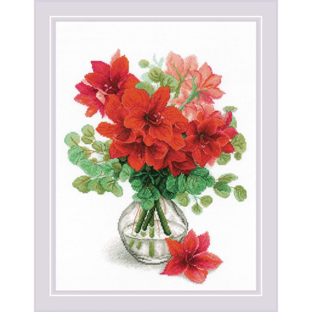 Riolis Multicolor Amaryllis