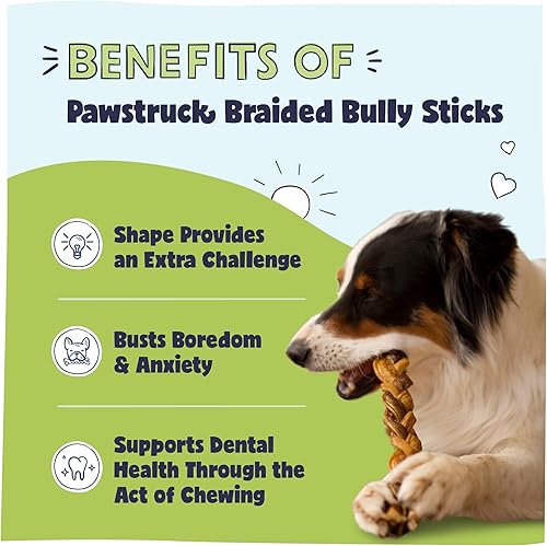 Miniatura 2 de 7 Braided Bully Sticks for Dogs 25 Pack - Natural Bulk Dog Dental Treats  Healthy Chews Chemical Free 7 inch Best Low Odor Pizzle Stix