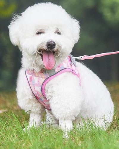 Miniatura 2 de Arnés para perros pequeños y medianos sin tirones, juego de arnés y correa para gatos, arnés para cachorros para perros pequeños, arnés para perro