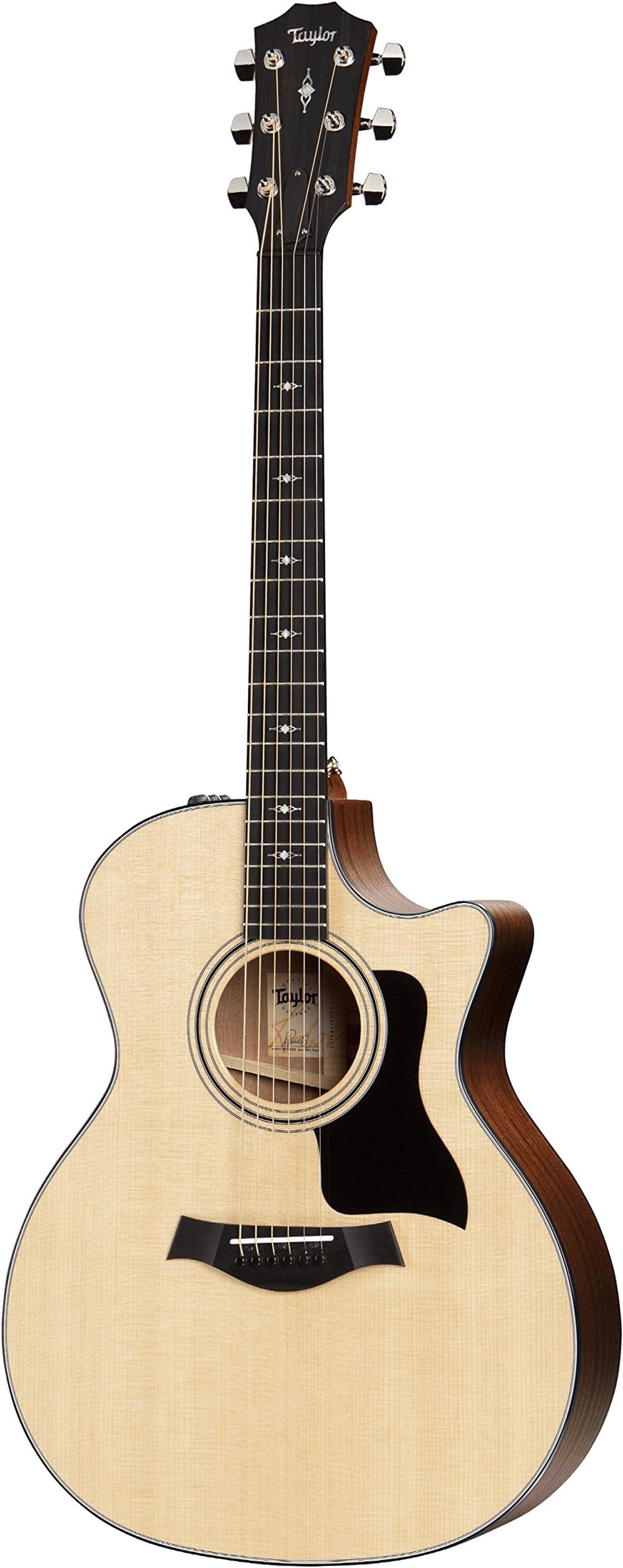 Taylor 314CE, Acoustic Guitar