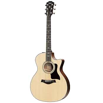 Taylor 314ce アコースティックギター Taylor 314ce-K Special Edition Grand Auditorium Acoustic