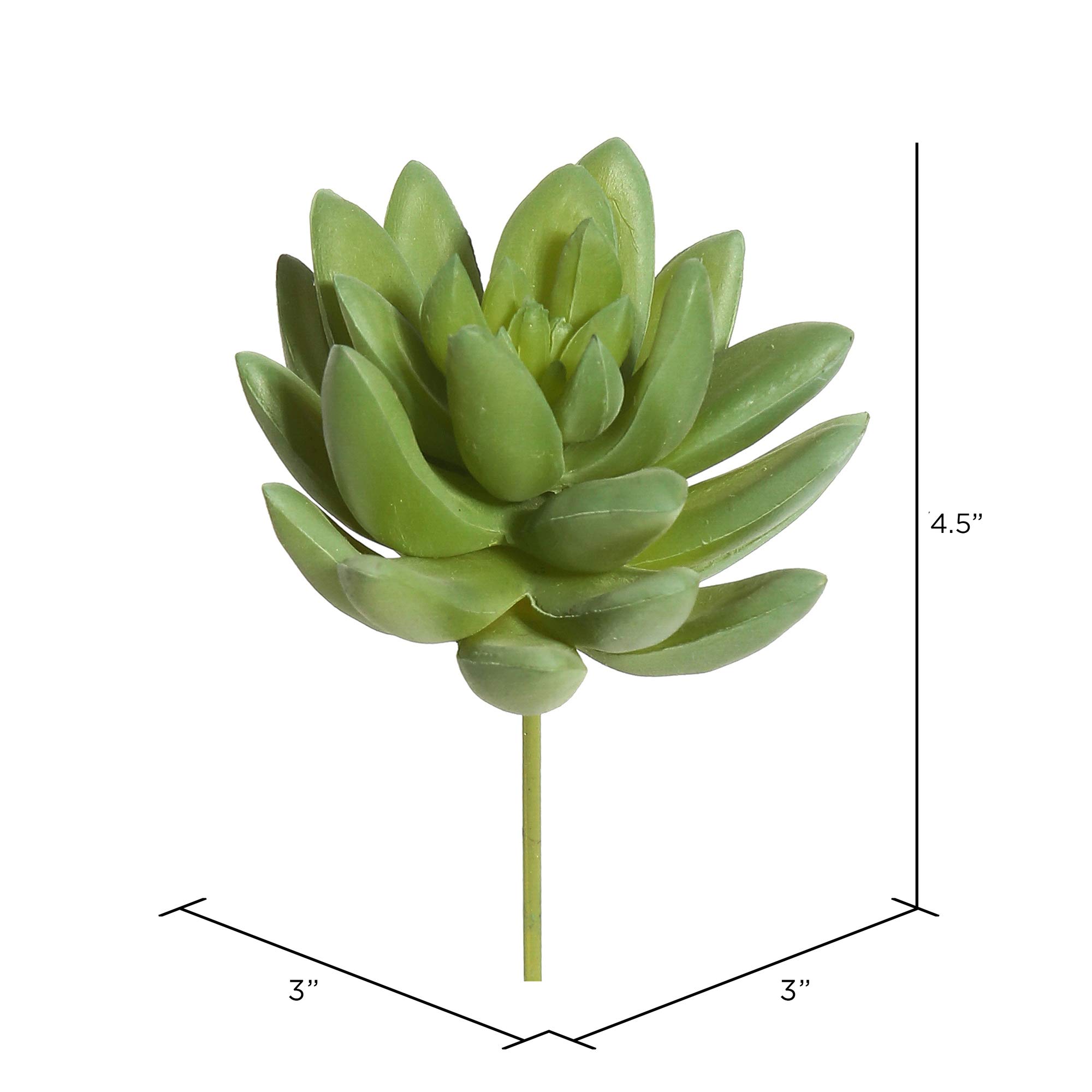 Vickerman Everyday 4.5