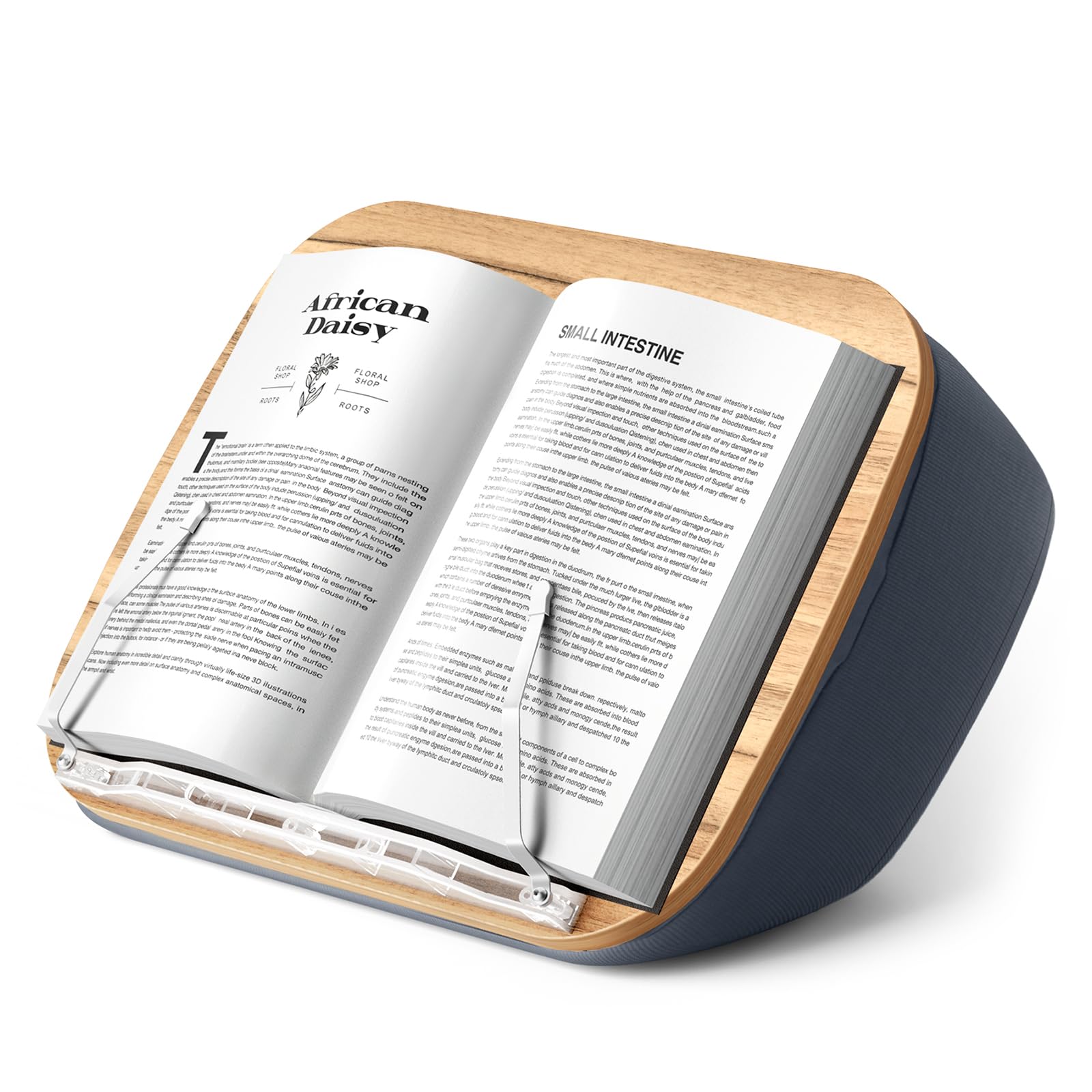 ERGONOV Lap Book Stand for Hands Free Reading Comfortable Reading Pillow Stand Minimize Neck Strain Perfect Idea for Book Lovers in Dorm Room or