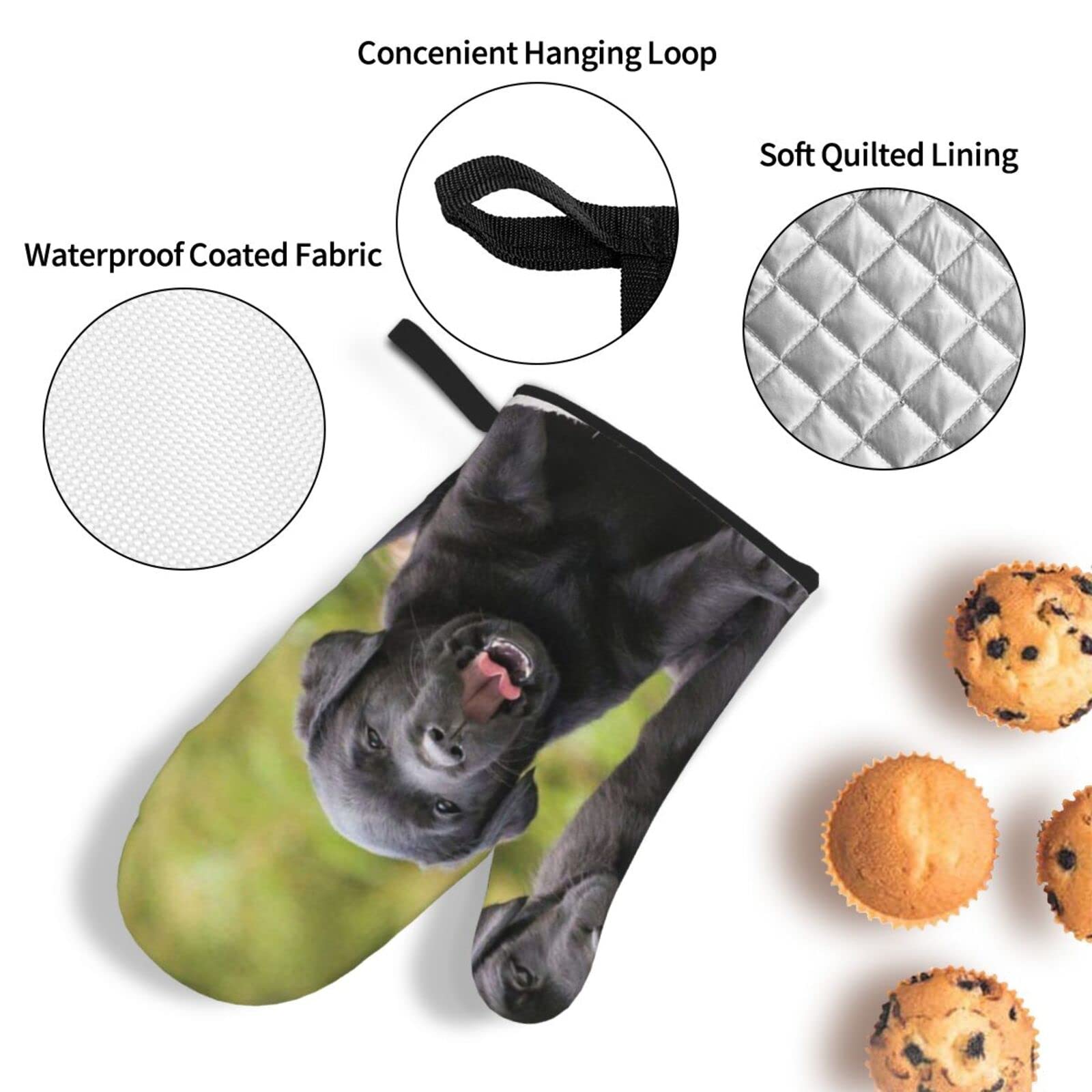 Cane Labrador, guanti da forno e presine, set da 4 pezzi