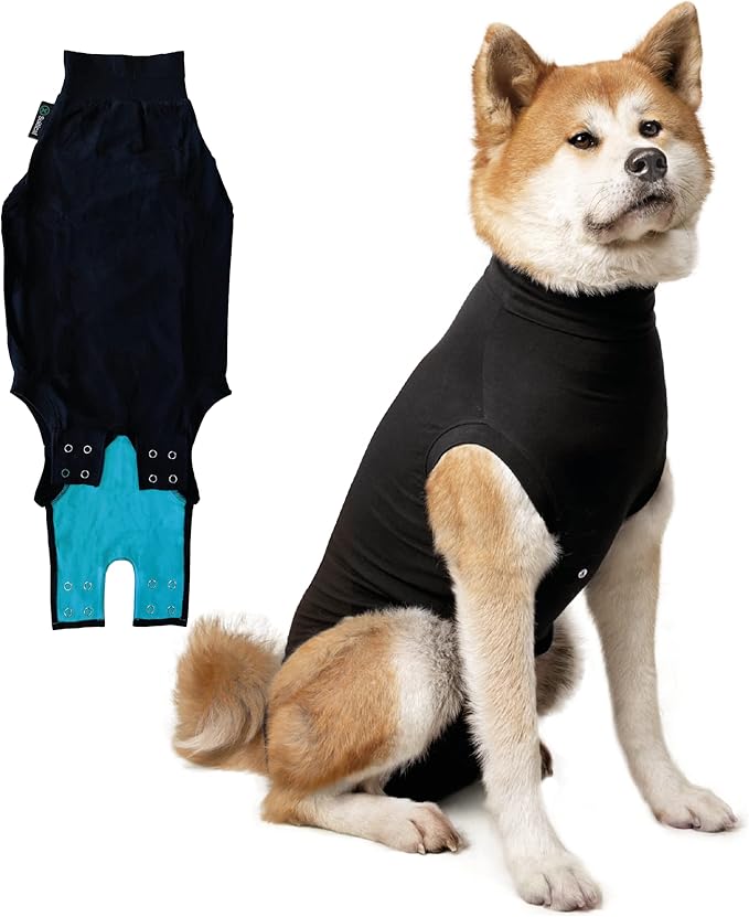 Suitical Recovery Suit Dog, Extra Large, Black Amazon.ca Pet Supplies