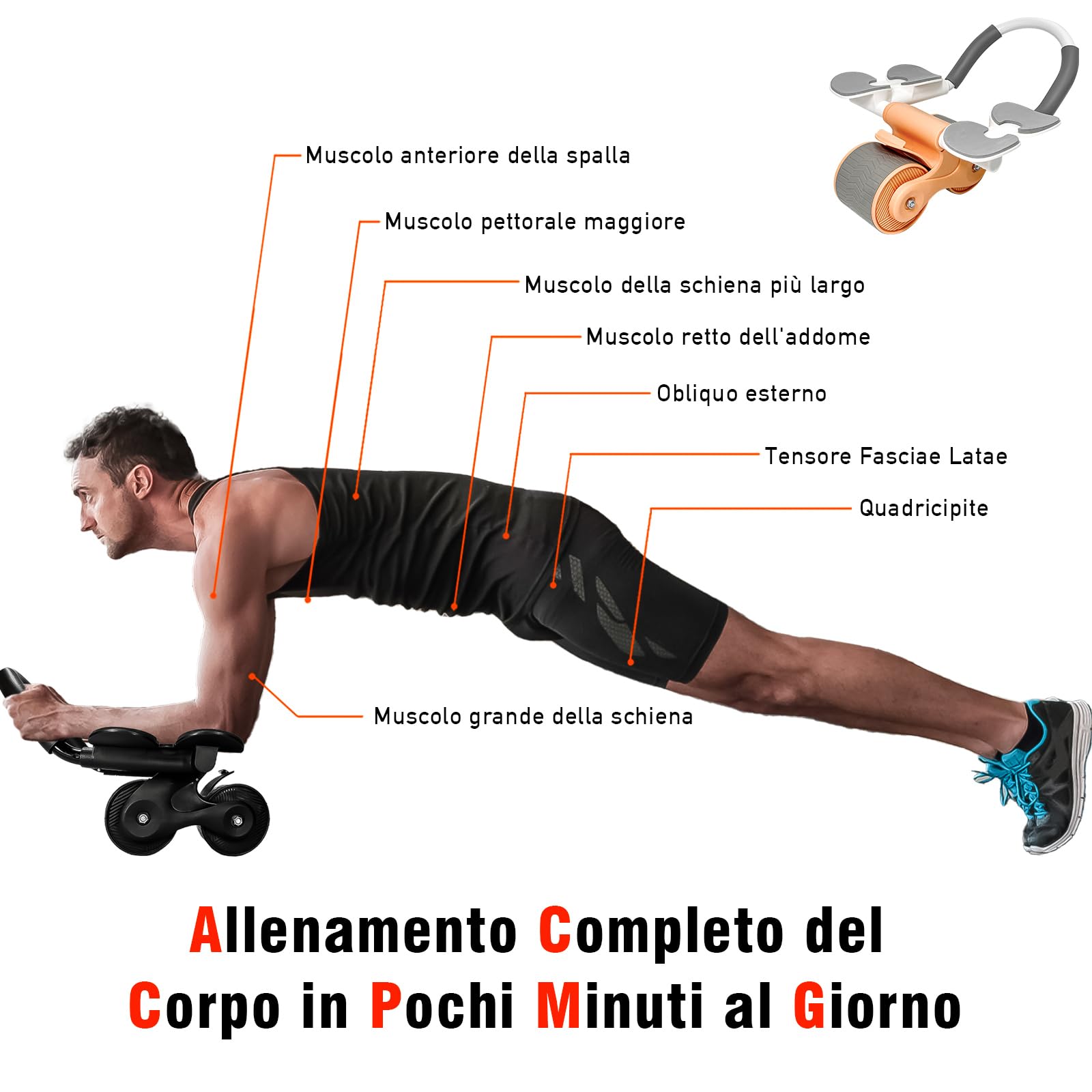 L’AB ROLLER WHEEL è Uno Degli Esercizi Più Efficaci Per Costruire Un Core Di Acc