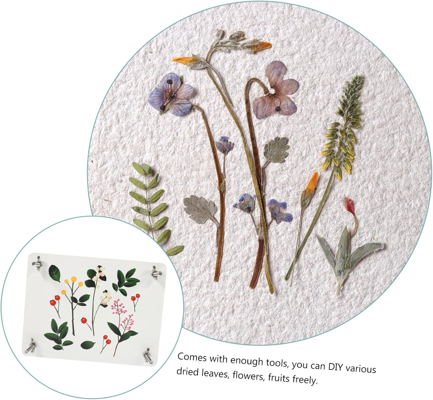 Veemoon Micro Flower Press Plant Leaf Press Dried Flower Tool DIY Embossing Device for Nail Art Accessories