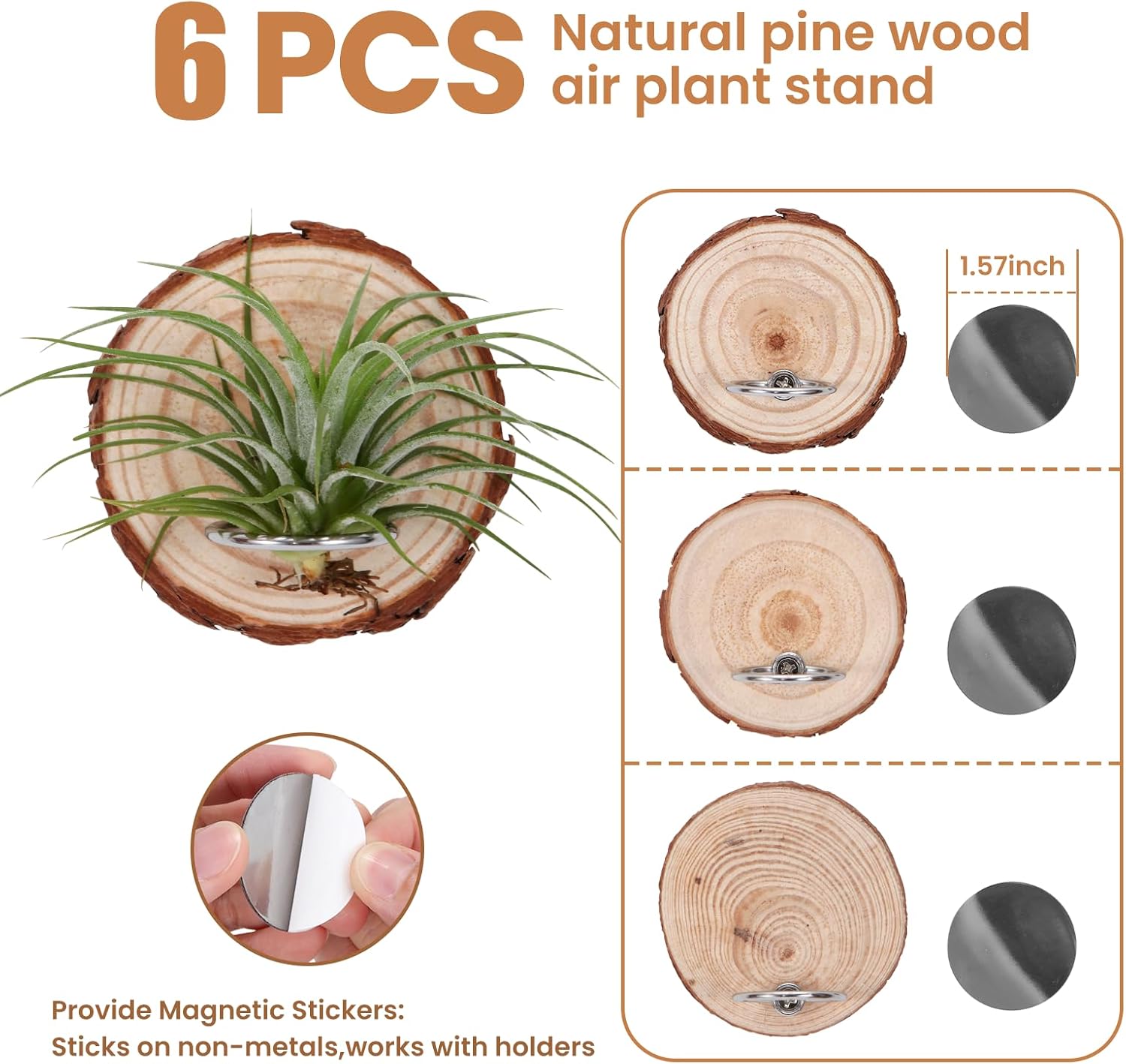 6 Pack Magnetic Air Plant Holder, Natural Wood Slices Refrigerator Magnet image 3