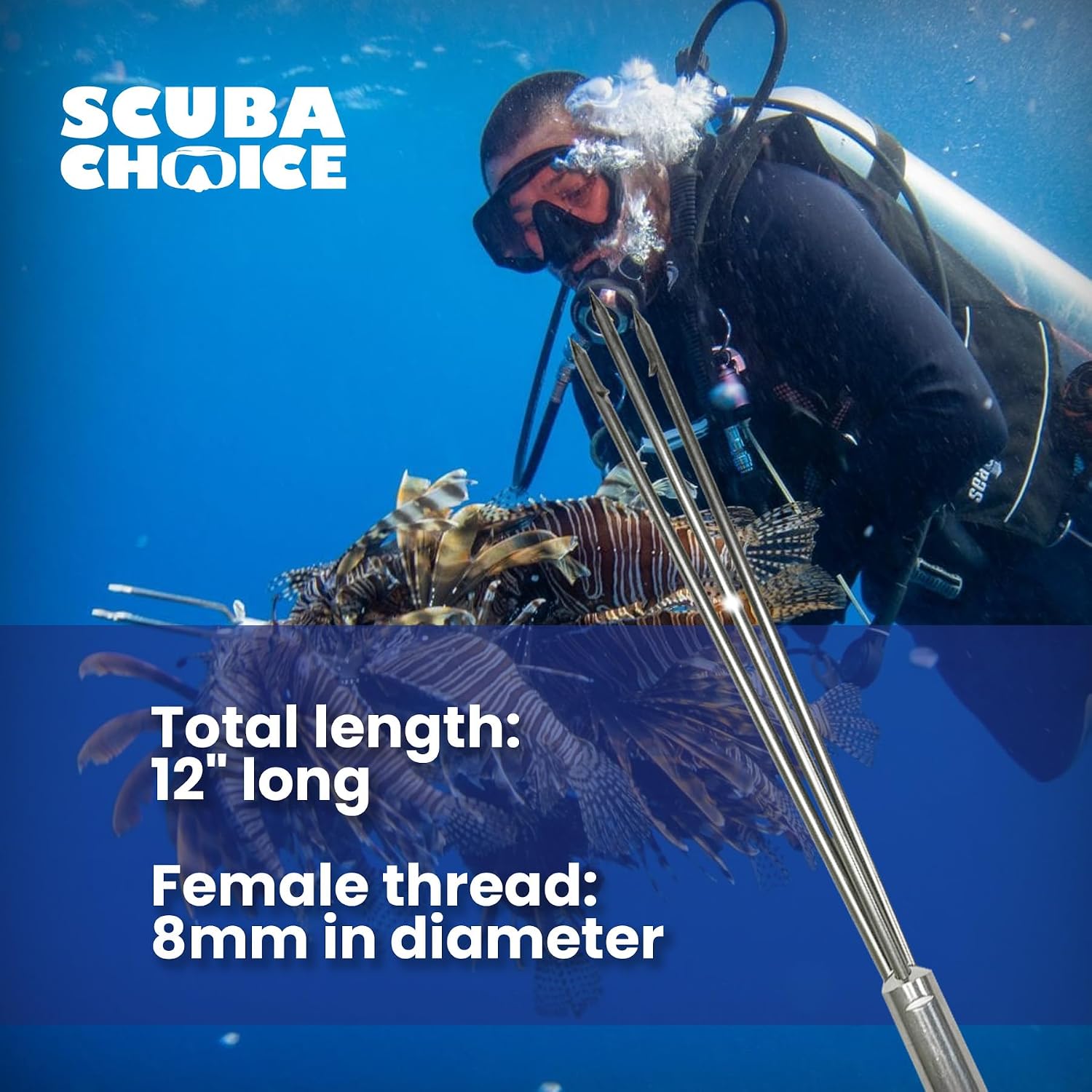 Scuba Choice 12" Stainless Steel 3-Prong Paralyzer Spear Tip – Replacement Pole Head for Spearfishing & Ice Fishing, 8mm Female Thread