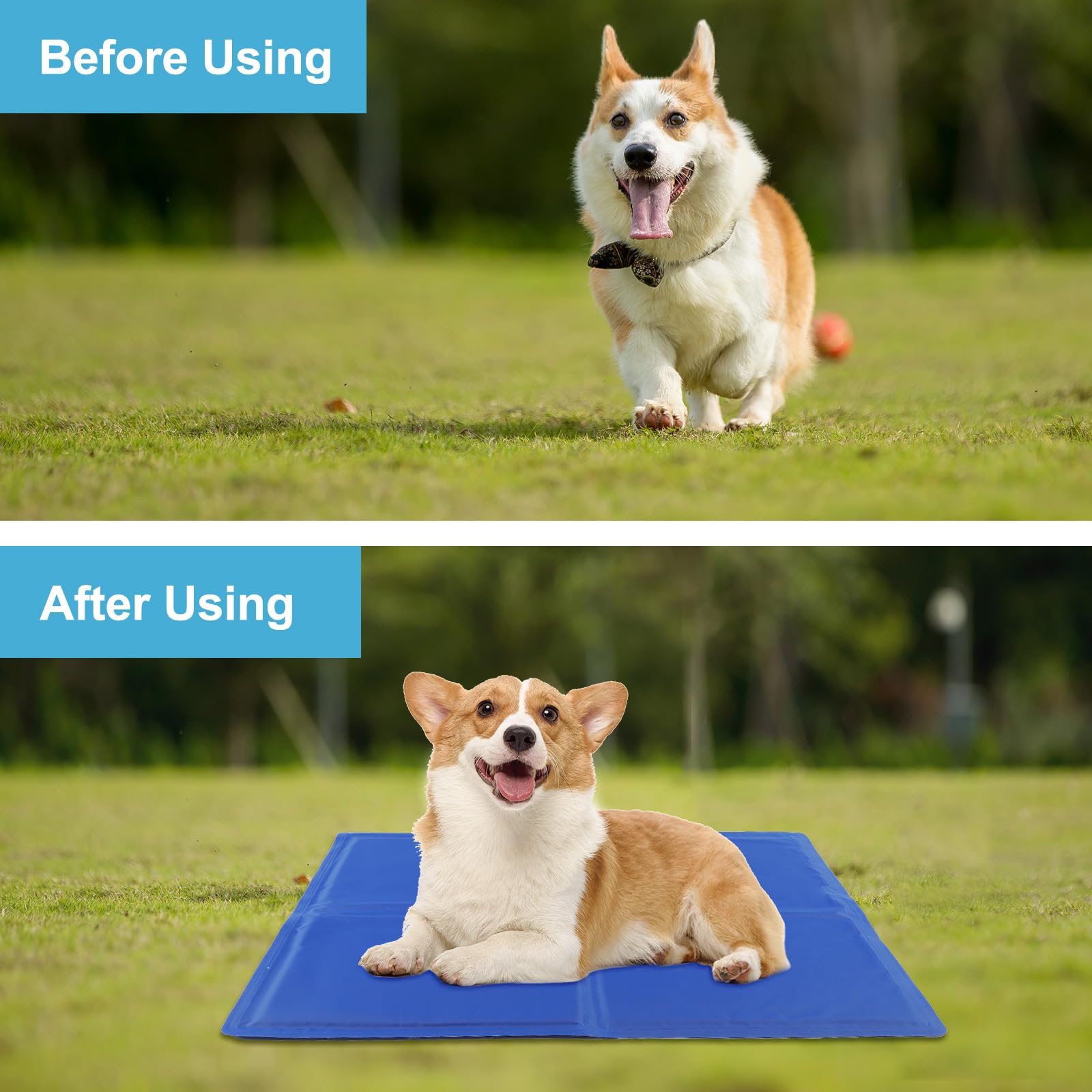 DEWEL Tappetino Refrigerante Cani e Gatti, Materassino Cane 50 x 65 cm, Adatto per Animali Domestici di Peso Inferiore a 15 kg, Raffreddamento Estivo del Lettino per Cani, Blu