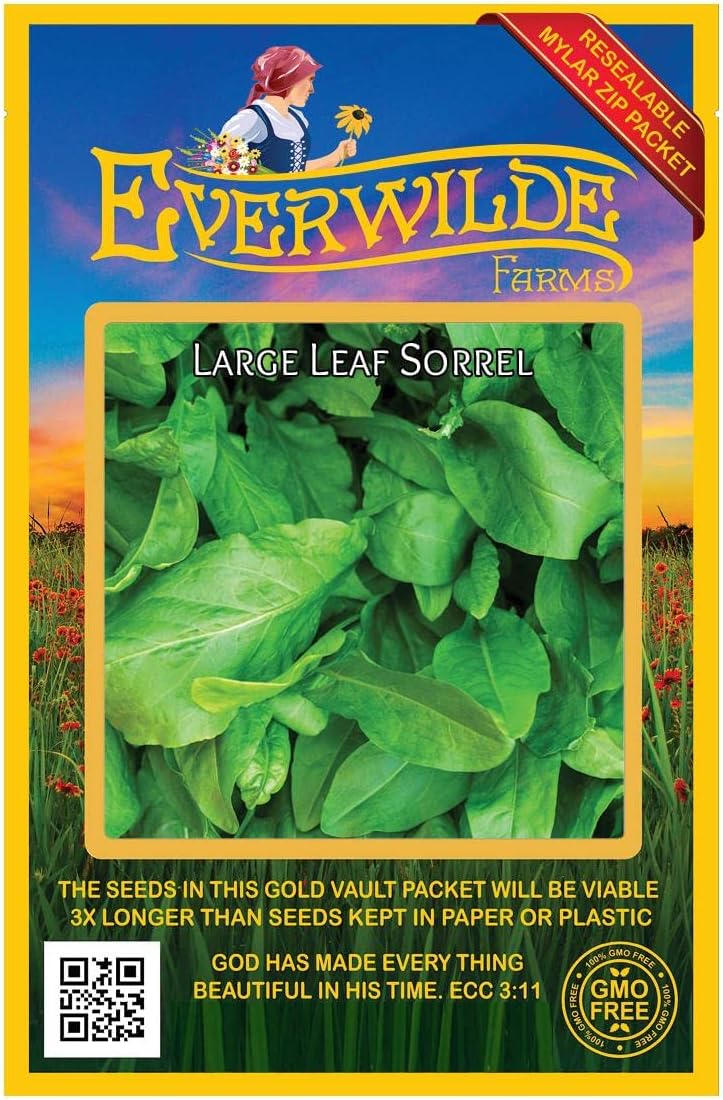 Everwilde Farms - 1 Oz Large Leaf Sorrel Herb Seeds - Gold Vault